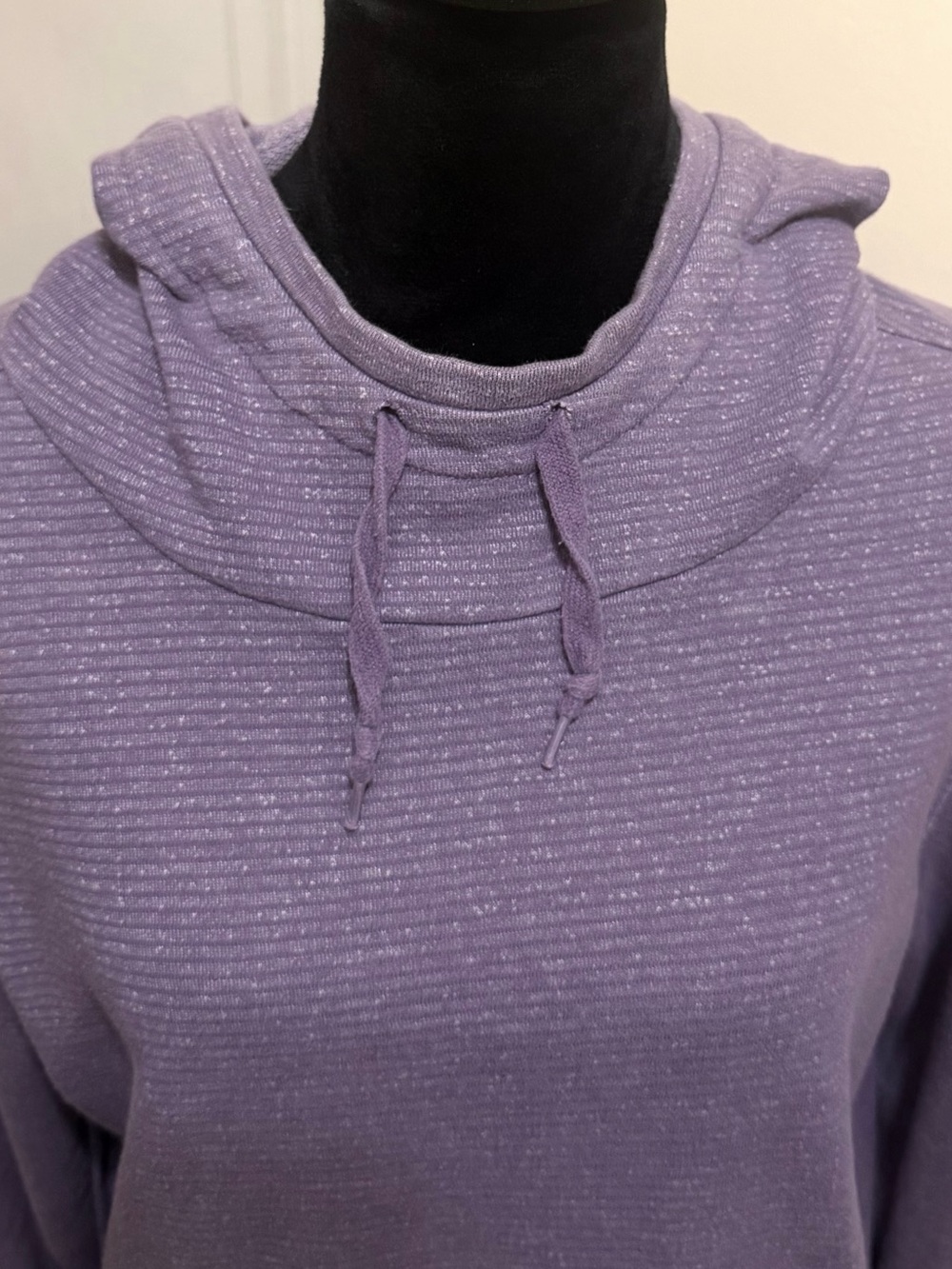 Champion Women's French Terry Striped Lavender Hoodie - Size L - NWOT - Picture 6 of 12